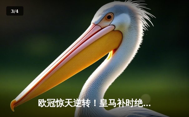 欧冠惊天逆转！皇马补时绝杀拜仁晋级决赛，凯恩生涯首冠梦碎 - 3